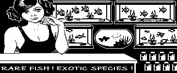 FishStore.png