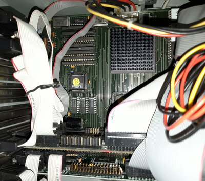 20201212_192401_resized_1.jpg