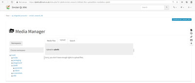 qlwikiissue.jpg