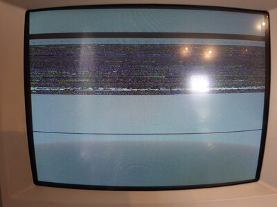 20210314_132041_resized-1.jpg