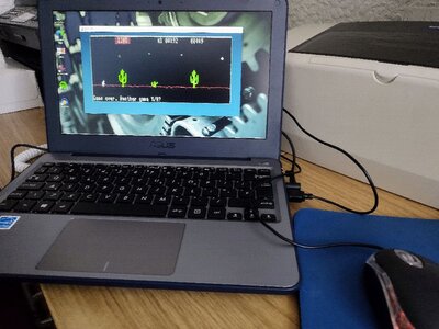 Asus W202