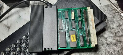 20220706_155616.jpg