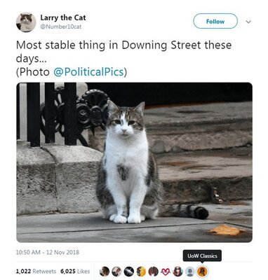 Larry.jpg