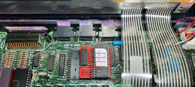 20240606_125202.jpg